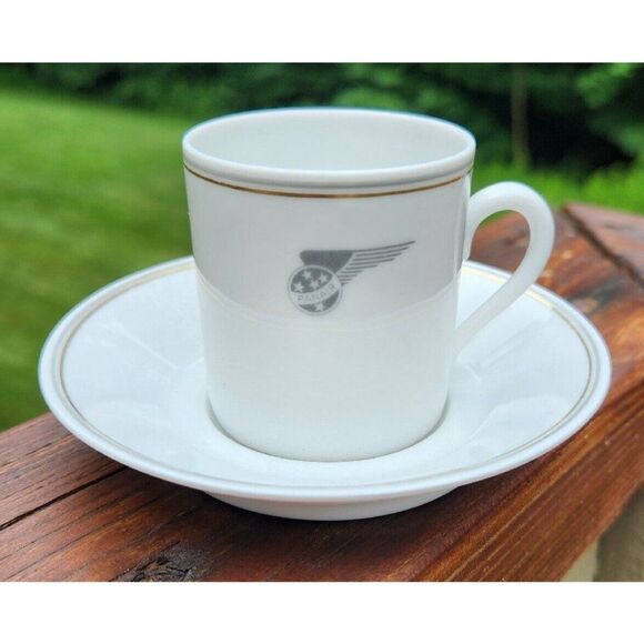 RARE Rosenthal Porcelain Panair Wing Logo Brazil Airline Demitasse Cup & Saucer